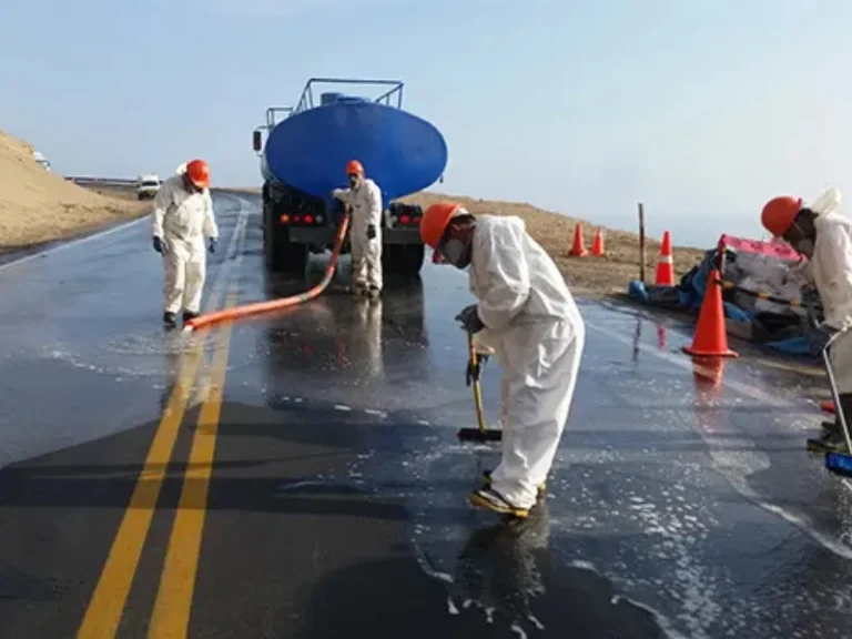 Experiencia Remediacion Ambiental (3)